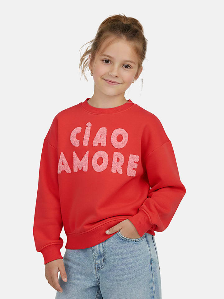 Sweatshirt "Lyncy" in Rot