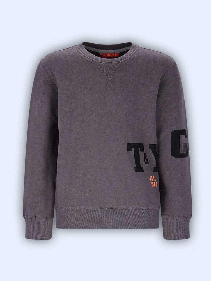 Sweatshirt "Siebe" in Grau