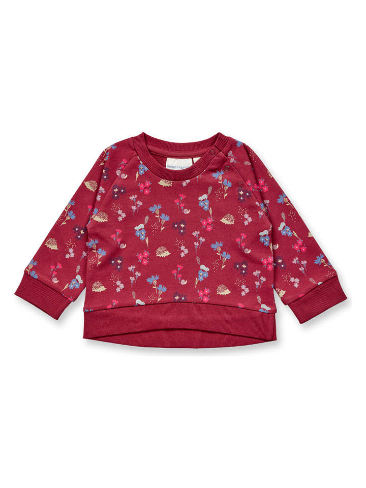 Bluza "Dena" w kolorze bordowym