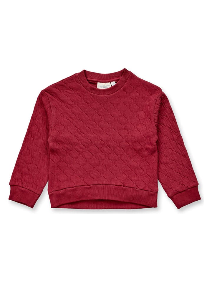 Sweatshirt "Amiloo" in Bordeaux