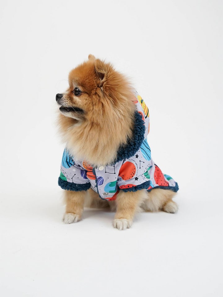 Hundehoodie in Bunt