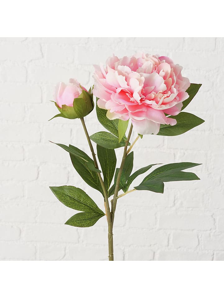 Sztuczny kwiat "Peony" w kolorze jasnoróżowo-zielonym - wys. 72 cm