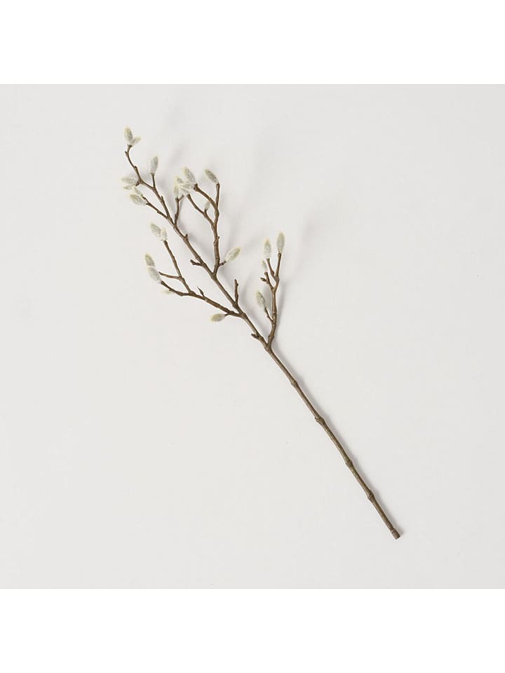 Dekoracyjna gałązka "Willow catkins" w kolorze brązowo-białym - wys. 54 cm