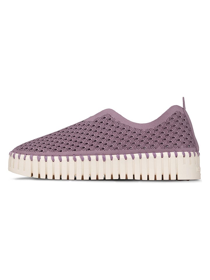 Slippersy w kolorze fioletowym