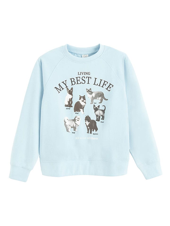 Sweatshirt in Hellblau