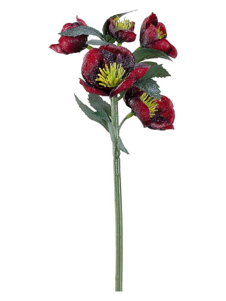 Sztuczna roślina "Christrose" w kolorze ciemnoczerwonym - dł. 29 cm