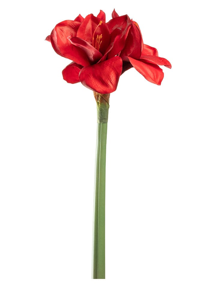 Kunstplant "Autentico" rood - (L)55 cm
