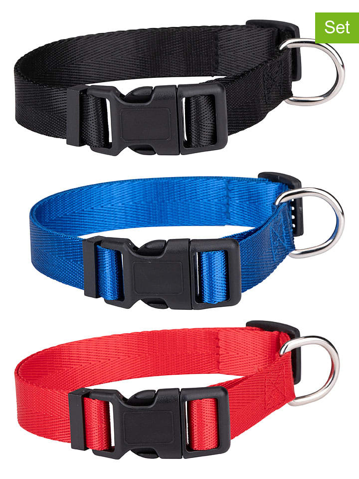 3er-Set: Hundehalsband in Bunt - (Überraschungsprodukt)