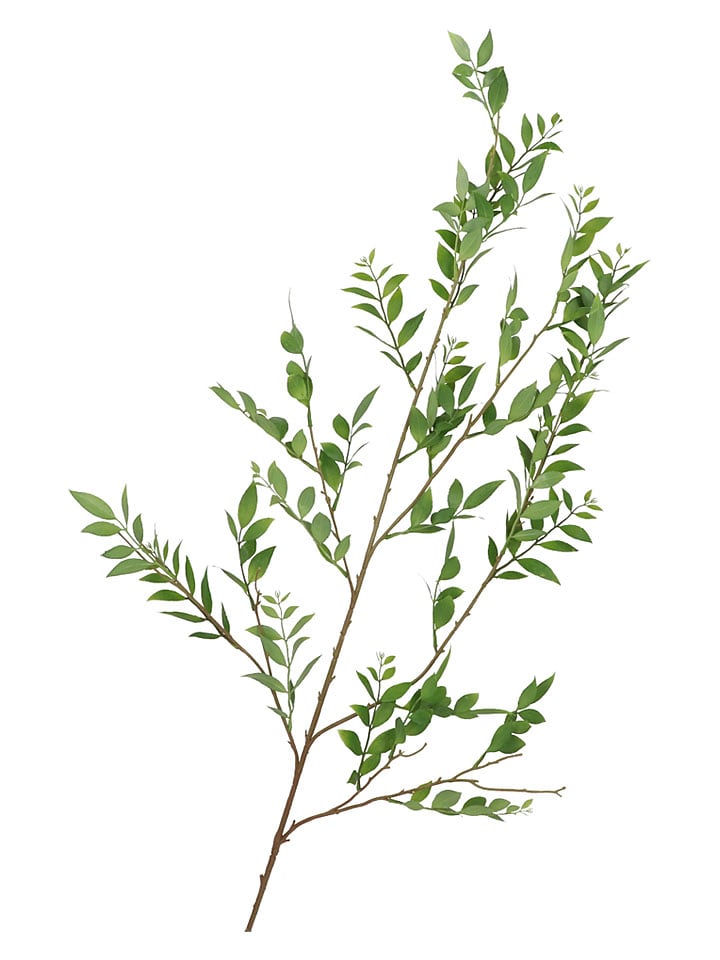 Dekoracyjna gałązka "Leaf" w kolorze zielonym - wys. 140 cm