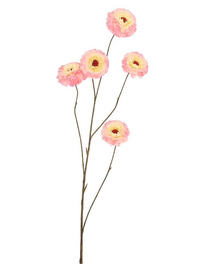 Siertak "Zinnia" oranje - (H)106 cm