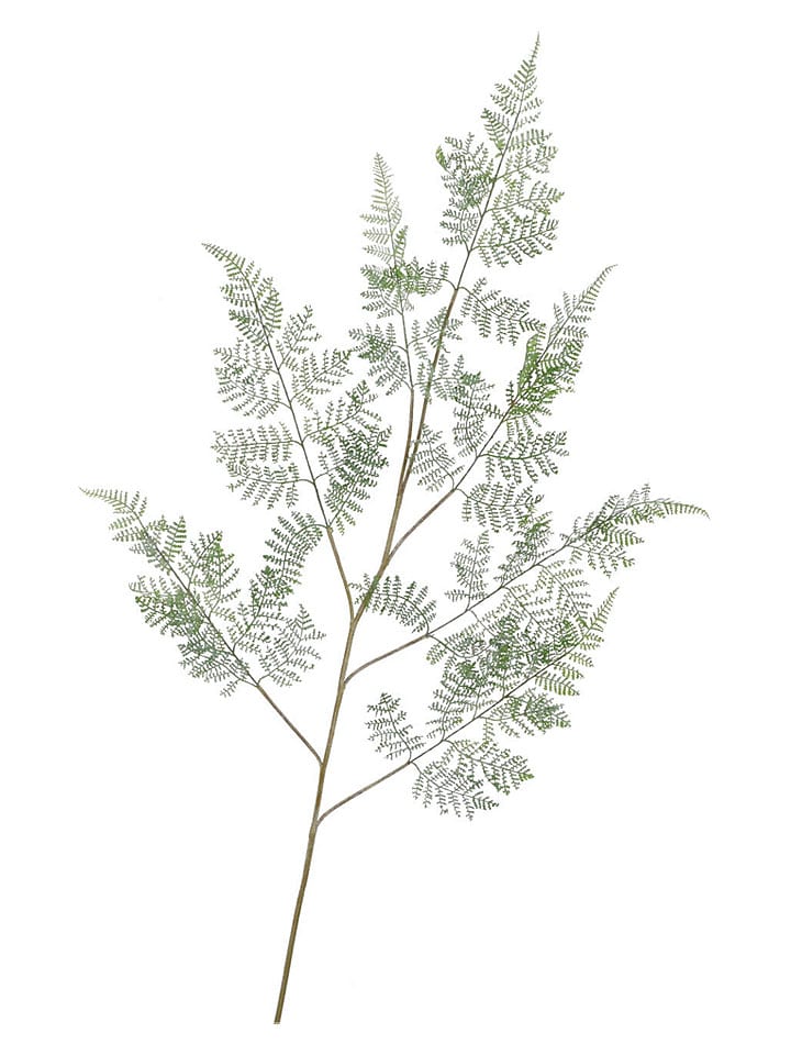 Dekoracyjna gałązka "Snowy Fern" w kolorze zielonym - wys. 137 cm