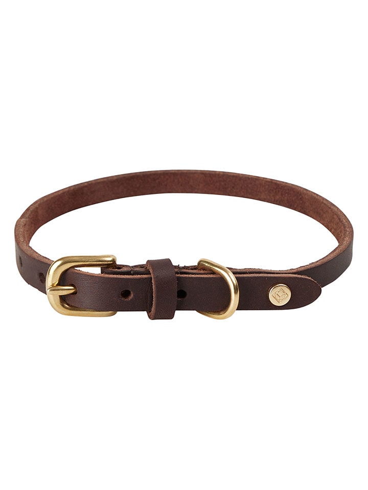 Leder-Hundehalsband "Robin" in Braun - (L)52 cm