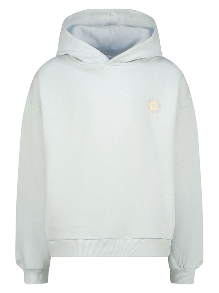 Hoodie grijs
