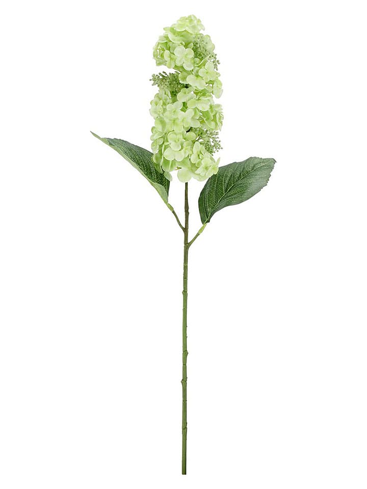 Sztuczna gałązka ''Hydrangea Holga'' w kolorze zielonym - dł. 64 cm