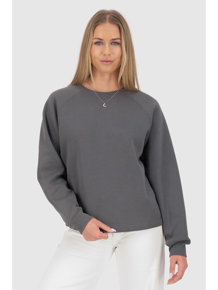 Sweatshirt in Grau