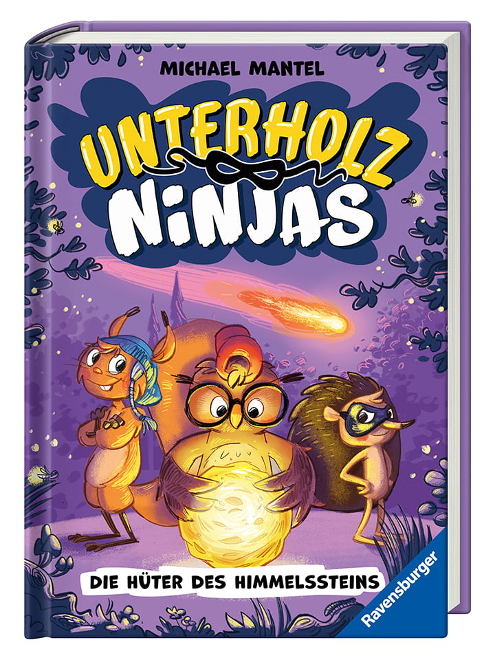 Kinderroman "Ninjas - Die Hüter des Himmelssteins"