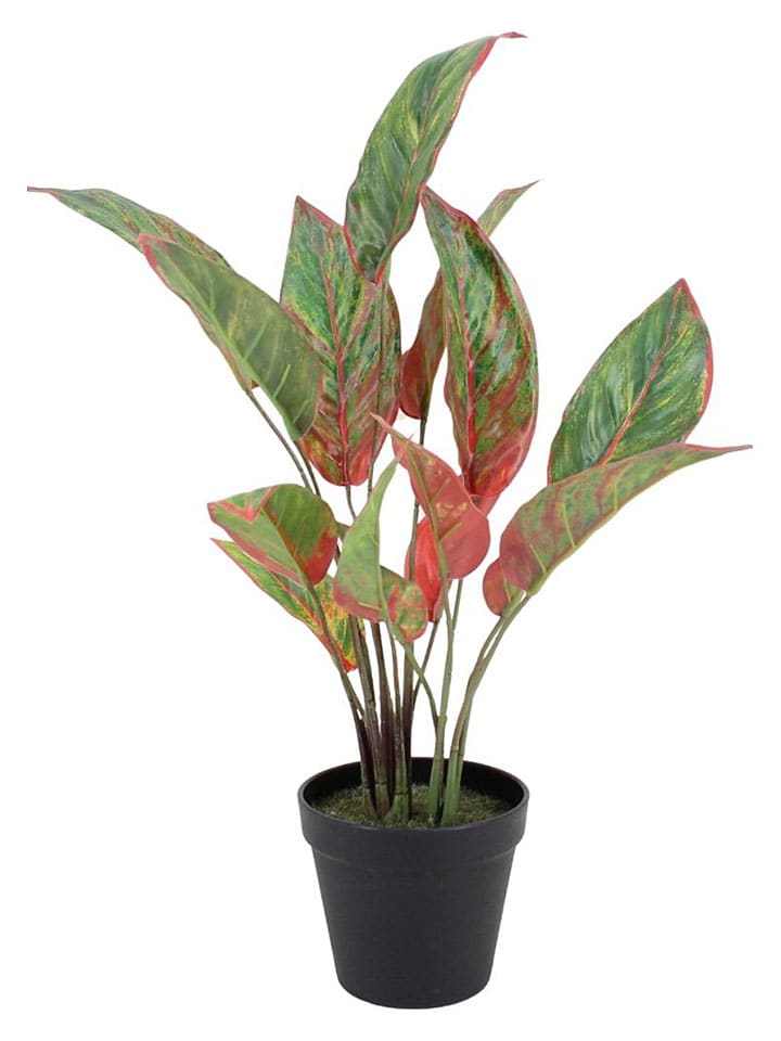 Kunstplant groen/rood - (H)52 cm