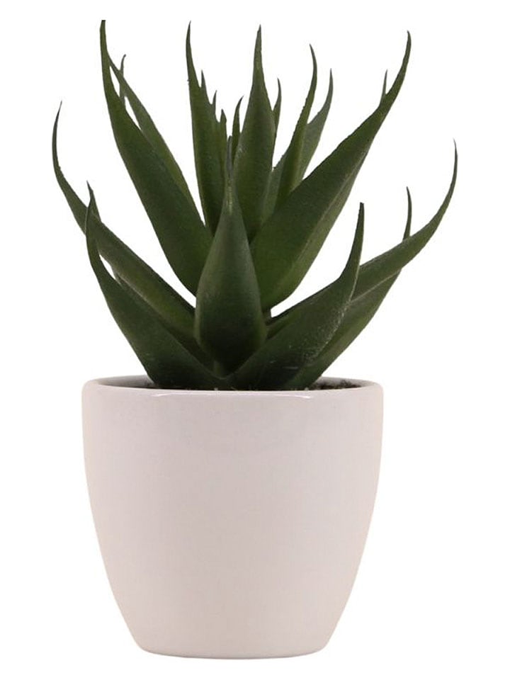 Kunstpflanze in Grün/ Weiß - (H)15 cm