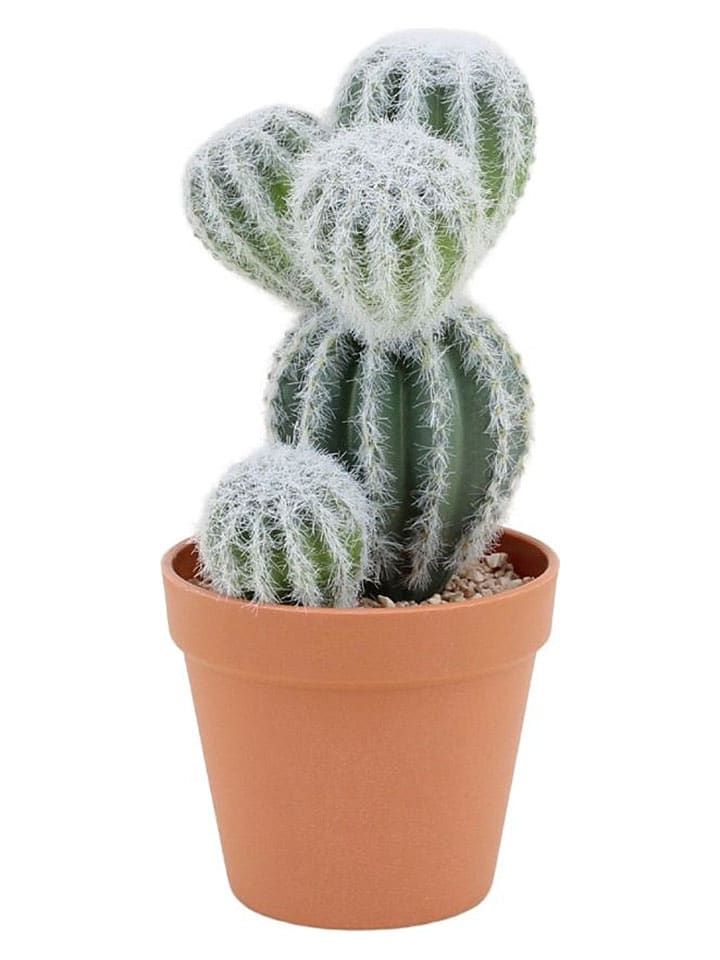 Sztuczna roślina w kolorze zielono-jasnobrązowym - wys. 26 cm