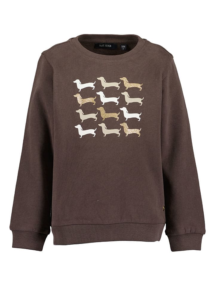 Sweatshirt in Dunkelbraun