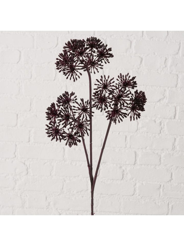 Dekozweig "Bärenklau" in Dunkelbraun - (H)86 cm