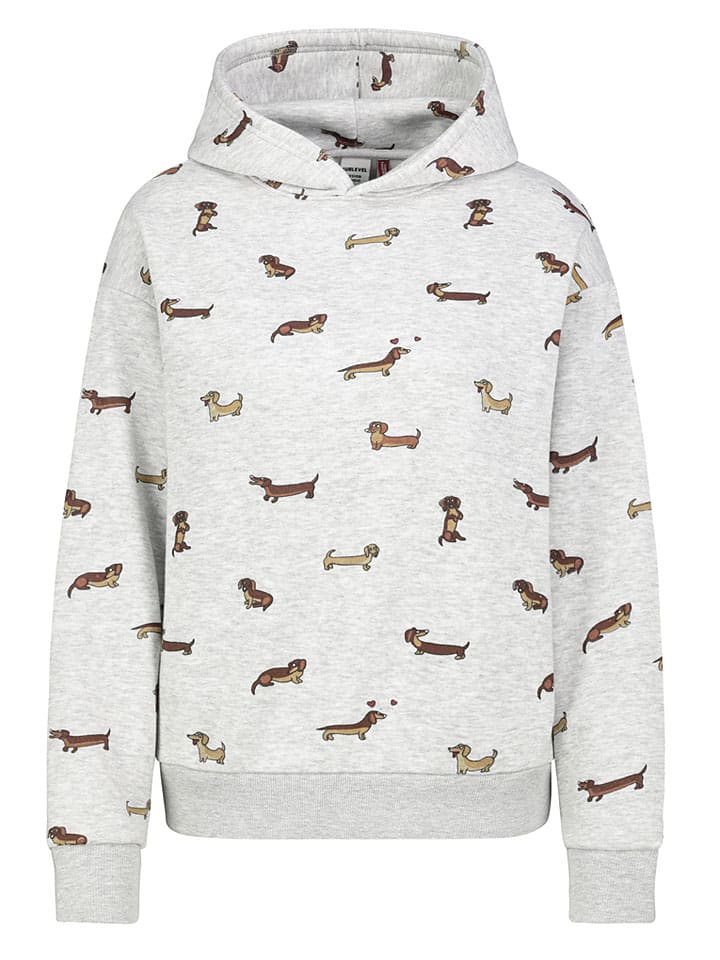 Hoodie grijs