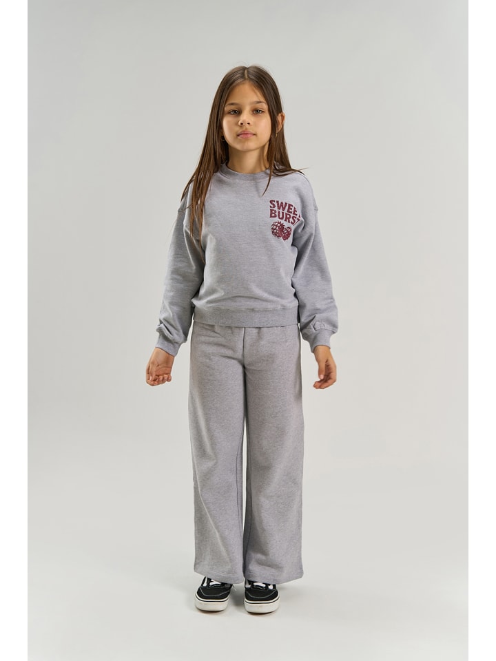 Sweatshirt "Veris" in Grau