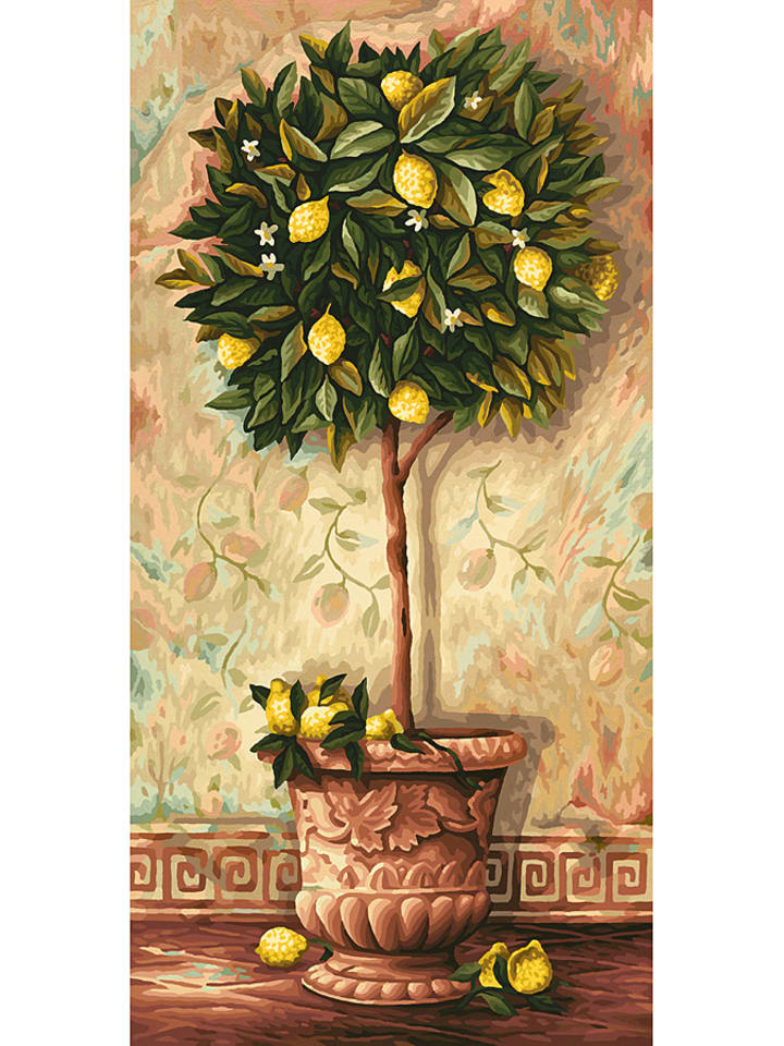 Malowanie według cyfr "Citrus Limonum" - 12+