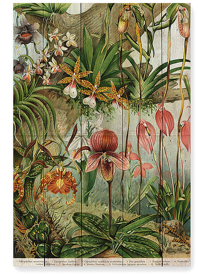 Druk "Jungle Flowers" na drewnie - 40 x 60 cm