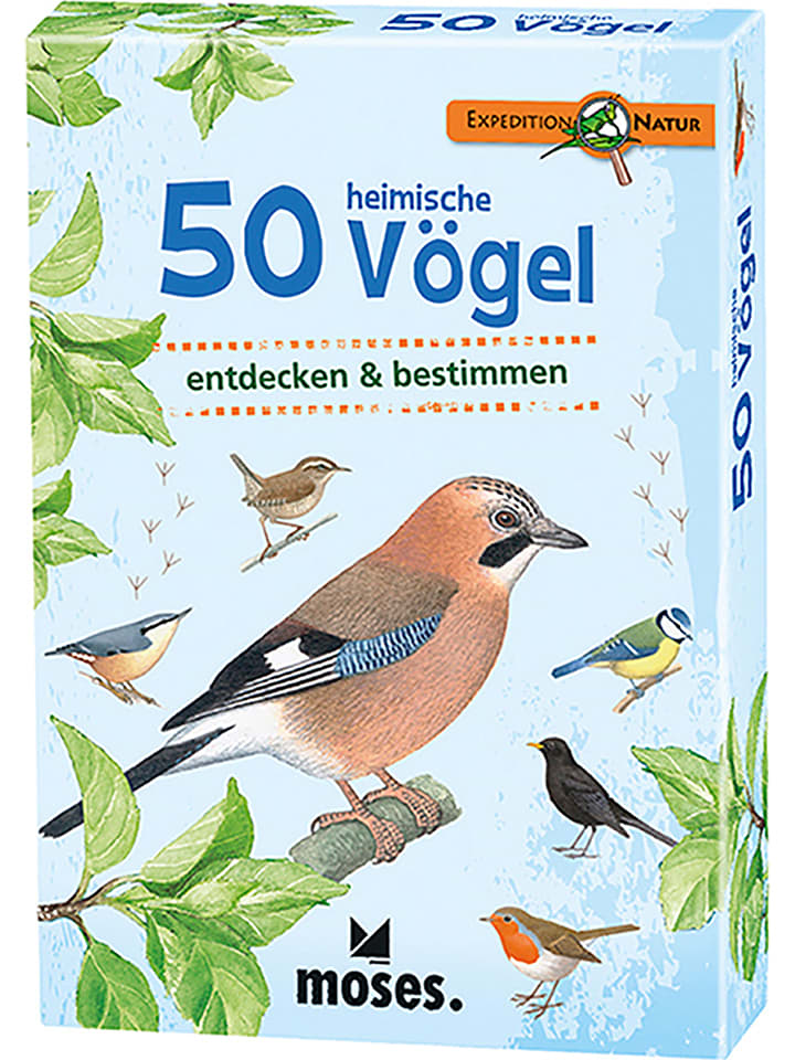 Kartenset "50 heimische Vögel" - ab 6 Jahren
