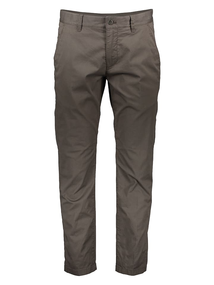 Chinobroek bruin