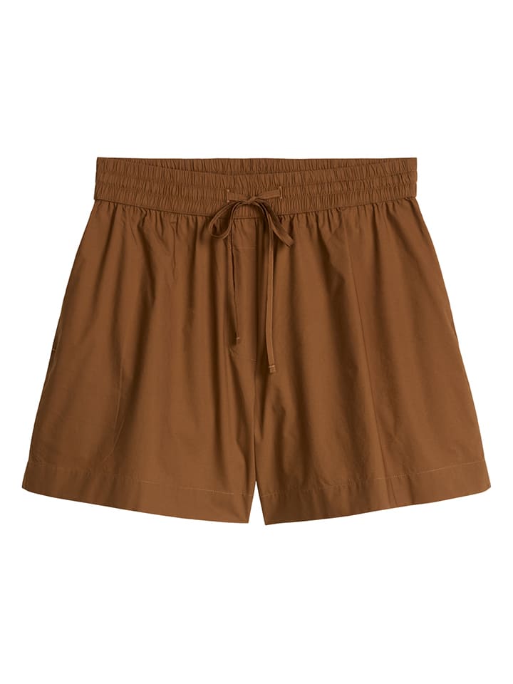 Short bruin