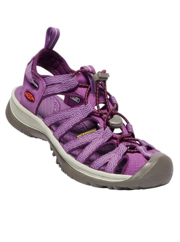 Keen Halbsandalen "Whisper" in Lila