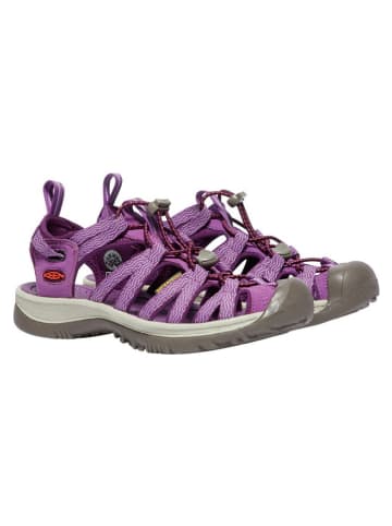 Keen Enkelsandalen "Whisper" paars