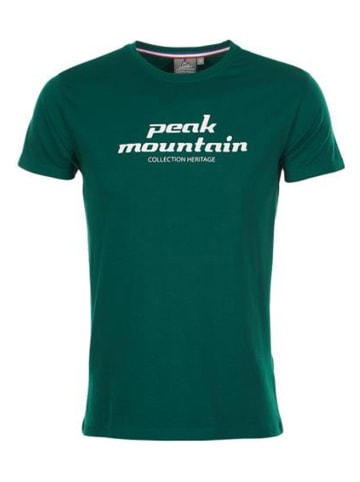 Peak Mountain Shirt in Grün