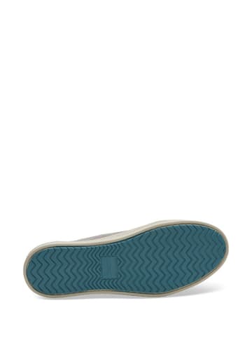 TOMS Sneakers in Grau