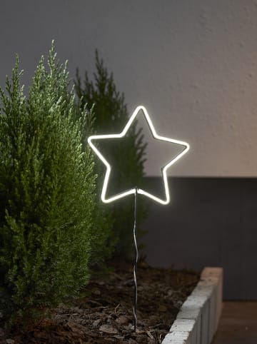 STAR Trading Ledtuinsteker "Neonstar" koudwit - (B)22 x (H)60 cm
