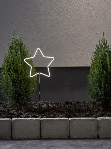 STAR Trading Ledtuinsteker "Neonstar" koudwit - (B)22 x (H)60 cm