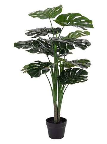 House Nordic Kunstplant donkergroen - (H)90 cm