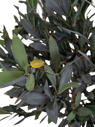 House Nordic Decoplant donkergroen - (H)120 cm