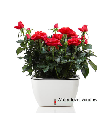 Tomasucci Selbstbewässernder Blumentopf in Weiß - (B)33,5 x (H)20 x (T)33,5 cm