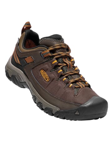 Keen Leren wandelschoenen "Targhee" bruin