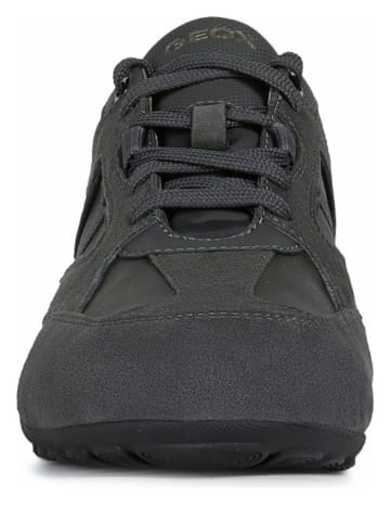 Geox Sneakers "Ravex" in Anthrazit