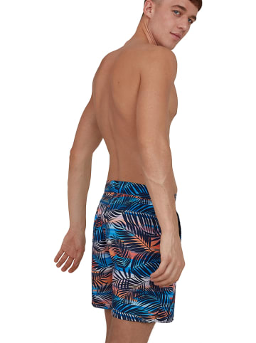 Speedo Zwemshorts "Vintage Paradise" blauw/meerkleurig