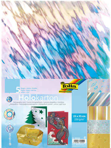 Folia Holografisch karton meerkleurig - 5 vellen - (L)35 x (B)25 cm