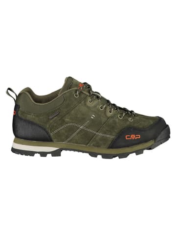 CMP Skórzane buty trekkingowe "Alcor" w kolorze oliwkowym