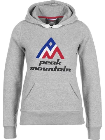 Peak Mountain Bluza w kolorze szarym