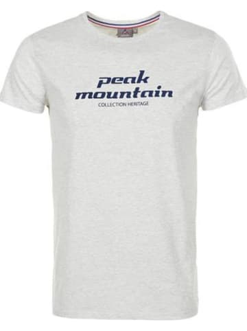 Peak Mountain Shirt grijs