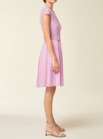 IVY & OAK Kleid in Rosa