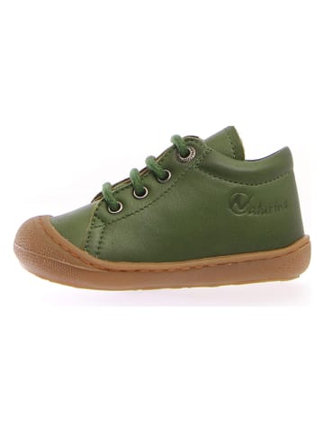 Naturino Skórzane sneakersy "Cocoon" w kolorze zielonym